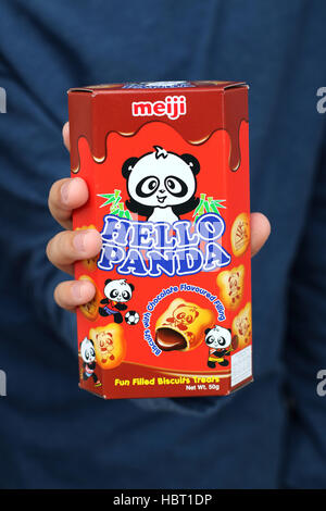 Meiji Hello Panda Kekse Stockfoto