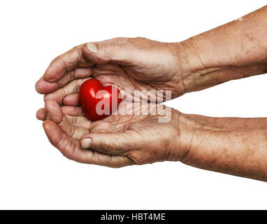 ältere Frau rotes Herz in ihre Handflächen isoliert auf weißem Hintergrund, Symbol der Liebe und Sorgfalt zu halten Stockfoto