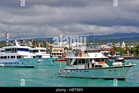 kleine Kreuzfahrtschiffe vor Anker im Hafen von Puerto Ayora, Santa Cruz Island, Galapagos-Inseln, Ecuador Stockfoto