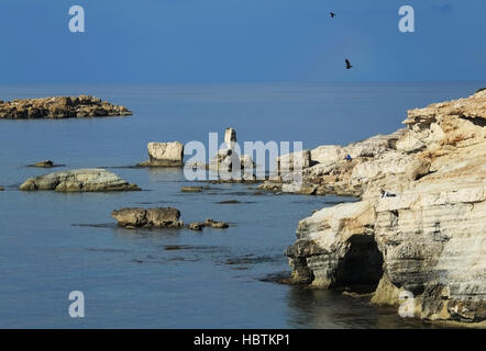 Ein Mann Fische aus den Felsen am Meer Höhlen in der Nähe von Peyia im Bezirk Paphos. Stockfoto