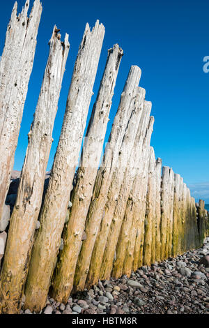 Hölzerne Leiste am Bossington Strand, Somerset, UK. Stockfoto