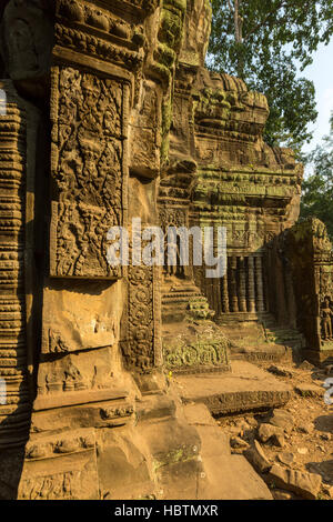 Details der antiken Tempel Prasat Ta Prohm in Angkor, Kambodscha Stockfoto