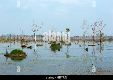 Reflexion der Bäume in Neak Pean See in der Nähe von Angkor Wat. Kambodscha Stockfoto