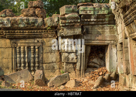 Ta Prohm, antiken Tempel im Dschungel Wald in Angkor, Kambodscha Stockfoto