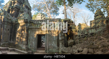 Innere des Tempel Ta Prohm in Angkor, der UNESCO in Kambodscha Stockfoto