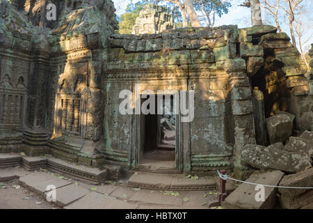 Innere des Tempel Ta Prohm in Angkor, der UNESCO in Kambodscha Stockfoto