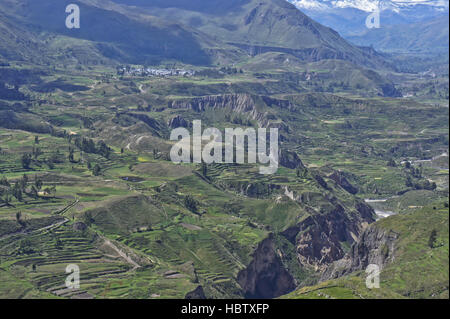 Colca Tal, Arequipa, Peru, Südamerika Stockfoto