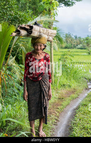 Indonesische Bäuerin Wandern durch die Reisfelder in Ubud, Bali Stockfoto