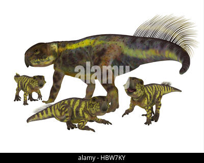 Entstanden war ein Exklusivmerkmal pflanzenfressenden Dinosaurier, der in der Kreidezeit in Asien gelebt. Stockfoto