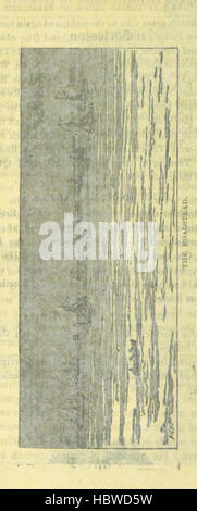 Diese Seite von „Huke's Pictorial Guide to Great Yarmouth“ zeigt Wahrzeichen, Straßen, Gebäude und Küstenlandschaften der Stadt während der im Reiseleiter dokumentierten Zeit. Stockfoto