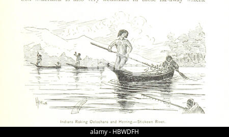 Diese Seite von „unsere Arktis-Provinz: Alaska und die Seehunde“ zeigt Illustrationen, Zeichnungen und Karten, die arktische Landschaften, Eisformationen, Inseln, Wildtiere, indigene Populationen, Siedlungen und Seeverkehrswege. Stockfoto