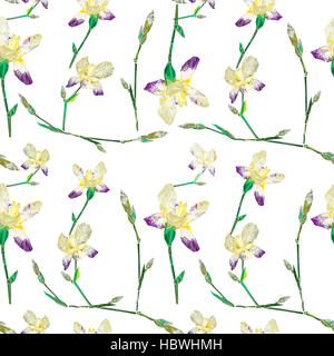 Iris-Muster Stockfoto