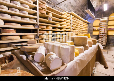 Gewürz-Lager von Käse Fontina Valpelline, Aostatal, Italien Stockfoto