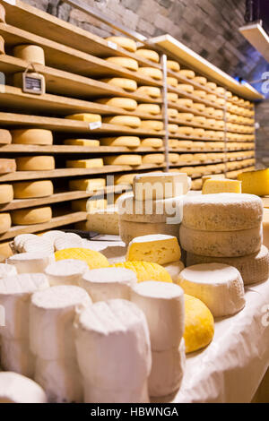 Gewürz-Lager von Käse Fontina Valpelline, Aostatal, Italien Stockfoto