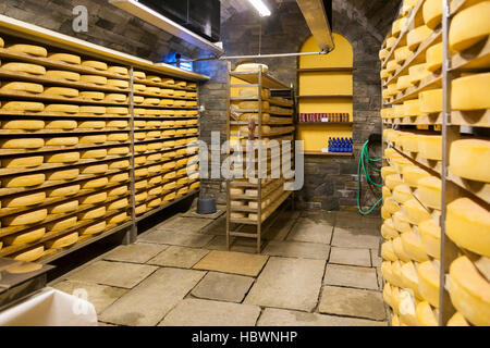 Gewürz-Lager von Käse Fontina Valpelline, Aostatal, Italien Stockfoto