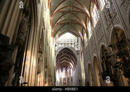 Dach des Langhaus und Chor der mittelalterlichen Sint-Janskathedraal (St. Johns Cathedral) in's-Hertogenbosch, Brabant, Niederlande. Stockfoto