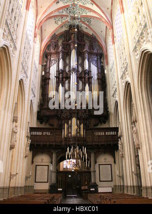 Kirchenschiff und 17. Jahrhundert Orgel in mittelalterlichen Sint-Janskathedraal (St. Johns Cathedral) in's-Hertogenbosch, Brabant, Niederlande. Stockfoto