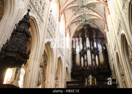 Kanzel und 17. Jahrhundert Orgel in mittelalterlichen Sint-Janskathedraal (St. Johns Cathedral) in's-Hertogenbosch, Brabant, Niederlande. Stockfoto