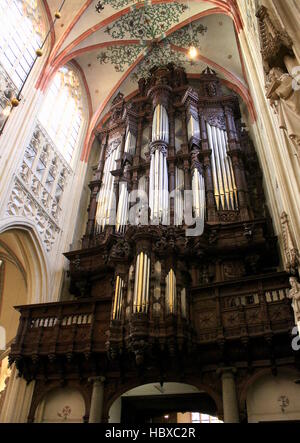 Herrliche Orgel aus dem 17. Jahrhundert in der mittelalterlichen Sint-Janskathedraal (St. John's Kathedrale) in der Stadt Den Bosch, Brabant, Niederlande. Stockfoto