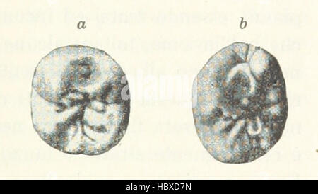 Antropologia Generale. Lezioni Su l ' Uomo Secondo la Teoria dell'evoluzione... Raccolte e Pubblicate... da G. Raverdino e G. B. Vigo Bild entnommen Seite 1037 von ' Antropologia Generale Lezioni Su Stockfoto