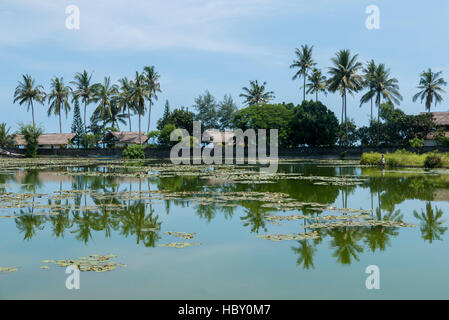 Tropische See und Palmen Bäume mit Wasserreflexionen in Candidasa, Bali Stockfoto