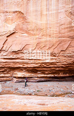 Eine junge Frau backpacking durch Wolverine Canyon in Utah Stockfoto
