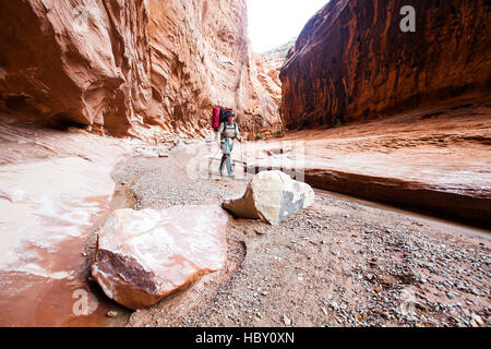 Eine junge Frau backpacking durch Wolverine Canyon in Utah Stockfoto