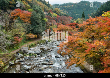 Herbstfarben entlang des Flusses Hozo im Kiyotaki, Kyoto Präfektur, Japan Stockfoto