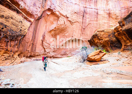 Eine junge Frau backpacking durch Wolverine Canyon in Utah Stockfoto