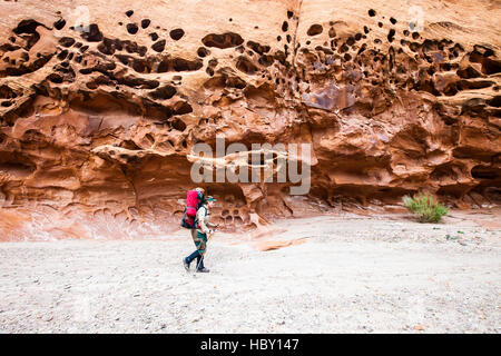 Eine junge Frau backpacking durch Wolverine Canyon in Utah Stockfoto