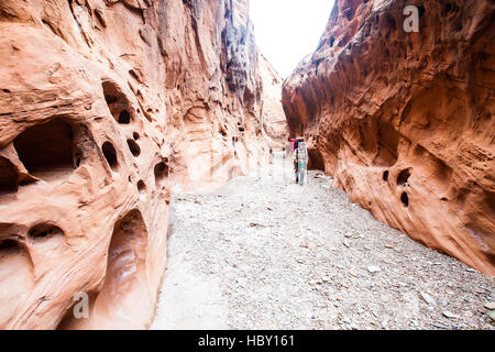 Eine junge Frau backpacking durch Wolverine Canyon in Utah Stockfoto