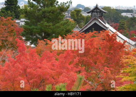 Herbstlaub in Vollfarbe Tenryu-Ji Tempel, Kyoto, Japan Stockfoto