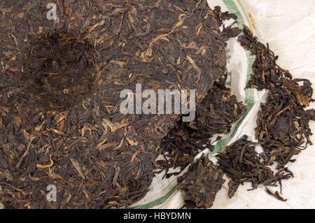 PU-Erh fermentiert chinesischen Tee in einer Rolle Stockfoto