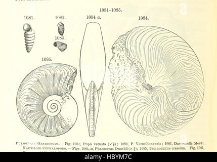 Bild entnommen Seite 686 von ' [Handbuch für Geologie: Behandlung der Prinzipien der Wissenschaft mit besonderem Bezug auf amerikanische geologische Geschichte... Überarbeitete Auflage.] " Bild entnommen Seite 686 von ' [Handbuch der Geologie zu behandeln Stockfoto