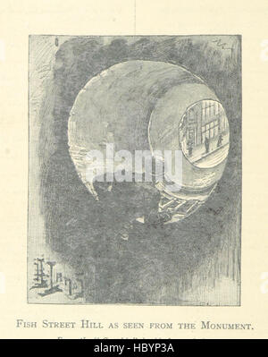 Seite 132 von „History of the Monument“ mit dem Monument in London, dem Great Fire of London 1666, dem Wiederaufbau von Straßen und Gebäuden, historischen Ereignissen, öffentlichem Gedächtnis und Illustrationen der Stadt und der Karte der Altstadt von London. Stockfoto