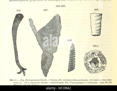 Bild entnommen Seite 480 von ' [Handbuch für Geologie: Behandlung der Prinzipien der Wissenschaft mit besonderem Bezug auf amerikanische geologische Geschichte... Überarbeitete Auflage.] " Bild entnommen Seite 480 von ' [Handbuch der Geologie zu behandeln Stockfoto