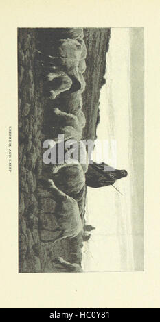 Aufnahme auf Seite 55 des "literarischen Wahrzeichen von Jerusalem... Illustrierte "Aufnahme auf Seite 55 des" literarischen Wahrzeichen von Jerusalem Stockfoto