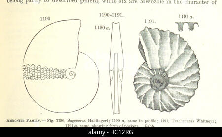 [Handbuch der Geologie: Behandlung der Prinzipien der Wissenschaft mit besonderem Bezug auf amerikanische geologische Geschichte... Überarbeitete Auflage.] Bild entnommen Seite 767 von ' [Handbuch der Geologie zu behandeln Stockfoto