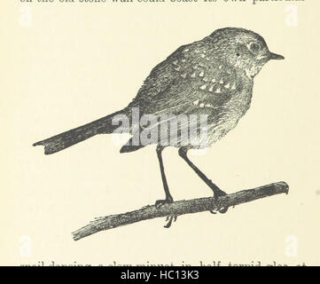 Bild von Seite 108 'A Story of Wings' Bild entnommen Seite 108 von "A Story of Wings" Stockfoto