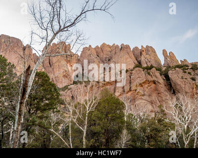 Cave Creek Canyon Arizona Stockfoto