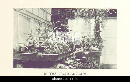 Bild von Seite 59 von "Souvenir von Lincoln Park. Eine illustrierte und beschreibenden Guide "Bild von Seite 59 von" Souvenir von Lincoln Park Stockfoto