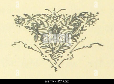 Das Bild zeigt Studenten, Klassenzimmer, Schlafsäle, Innenhöfe, Bibliotheken, Hörsäle und soziale Aktivitäten im akademischen Umfeld. Stockfoto