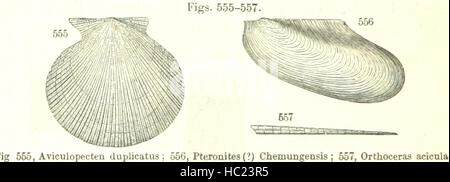 Diese Abbildung zeigt geologische Formationen, einschließlich Gestein, Schichten, Falten, Verwerfungen, Minerallagerstätten, Vulkane, Berge, Sedimentschichten, Erosion, Verwitterung, tektonische Aktivität, Fossilien, Böden und andere Merkmale, die die Erdkruste Formen. Diagramme und Karten verbessern das Verständnis der Geologie. Stockfoto