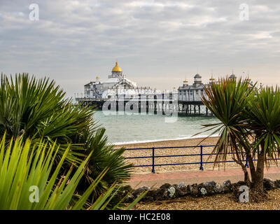 Eastbourne Pier Blick durch die Bäume von der Ostseite an einem Herbsttag nach Brand wieder aufgebaut Stockfoto