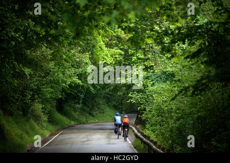 Radfahrer auf dem Weg von Covadonga Seen, Picos de Europa, Parque Nacional de Los Picos de Europa, Asturien, Kantabrien, Spanien, Europa. Eine der Stationen Stockfoto