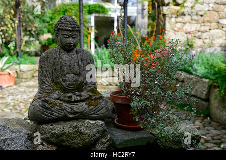 buddha-Statue meditieren betrachten schattige Terrasse schattiert gemischten Laub Blätter Pflanzen Kerzen RM floral Stockfoto