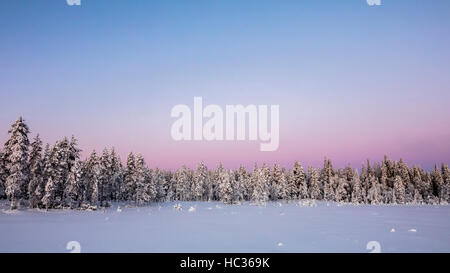 Winter im Nationalpark Syöte, Finnland. Stockfoto