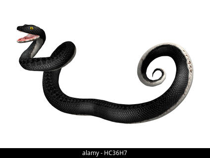 3D-Rendering einer südlichen Black Racer Schlange isoliert auf weißem Hintergrund Stockfoto