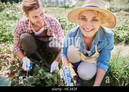 Zusammenarbeit zwei Landarbeiter im Garten Stockfoto