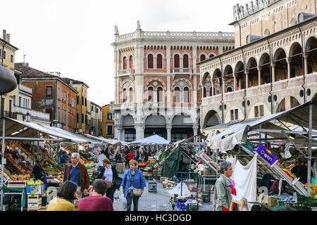 PADUA, Italien - 15. Oktober 2016: Menschen auf der Straße Markt auf der Piazza Delle Erbe-Quadrat in der Stadt Padua. Padua ist eine Stadt und Comune in Venetien, nördlichen es Stockfoto